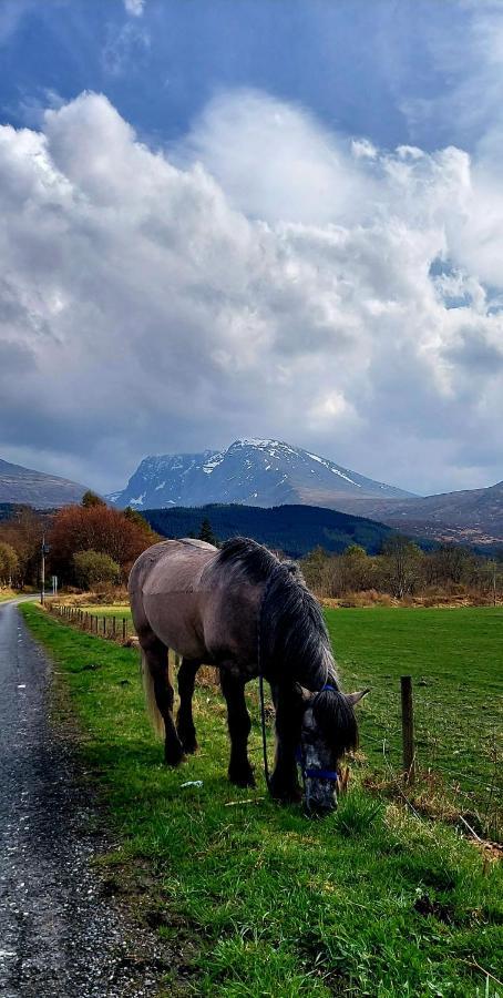 North Face Dwelling At Ardenvale Self Catering Leilighet Fort William Eksteriør bilde